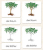 German "Parts of" the Tree 3-Part Reading - Maitri Learning