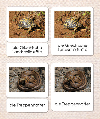 German Reptiles 3-Part Reading - Maitri Learning