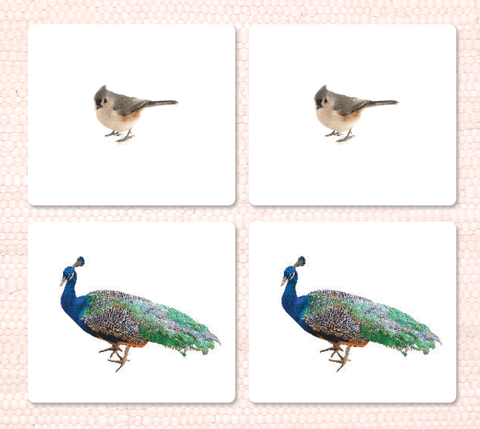 Imperfect Birds Matching - Maitri Learning