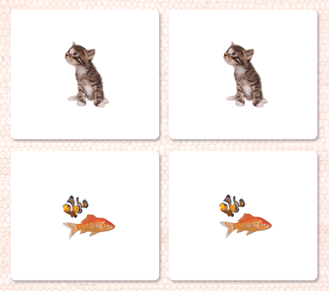 Imperfect Pets Matching - Maitri Learning