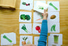 Vegetables Matching - Maitri Learning