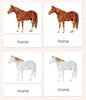 Cardstock Parts of the Horse 3-Part Reading