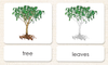"Parts of" the Tree<p>3-Part Reading - Maitri Learning