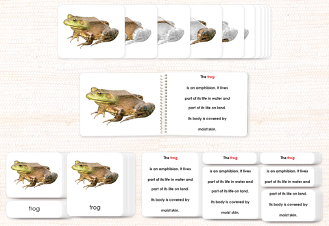 Parts of the Frog Book & Card Set
