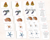Invertebrates "Parts of" Book & Card Set/5