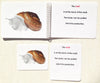 "Parts of" the Snail Book & Card Set - Maitri Learning