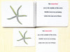 "Parts of" the Sea Star (Starfish) Book & Card Set - Maitri Learning