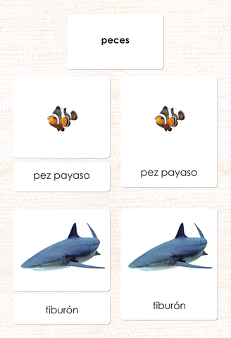 Spanish Fish 3-Part Cards