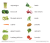 Vegetables Toddler Cards - Maitri Learning