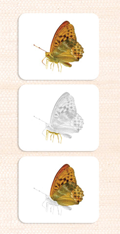 Imperfect Parts of the Butterfly Vocabulary