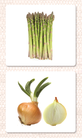 Vegetables Vocabulary - Maitri Learning