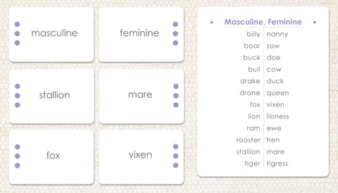 Masculine & Feminine - Maitri Learning