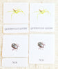 Sale! Arachnids 3-Part Reading Mini-Pack - Maitri Learning