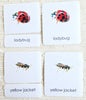 Sale! Insects 3-Part Reading Mini-Pack - Maitri Learning