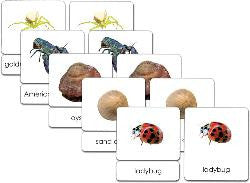Invertebrates 3-Part Zoology Starter Set - Maitri Learning