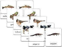 Vertebrates 3-Part Zoology Starter Set - Maitri Learning